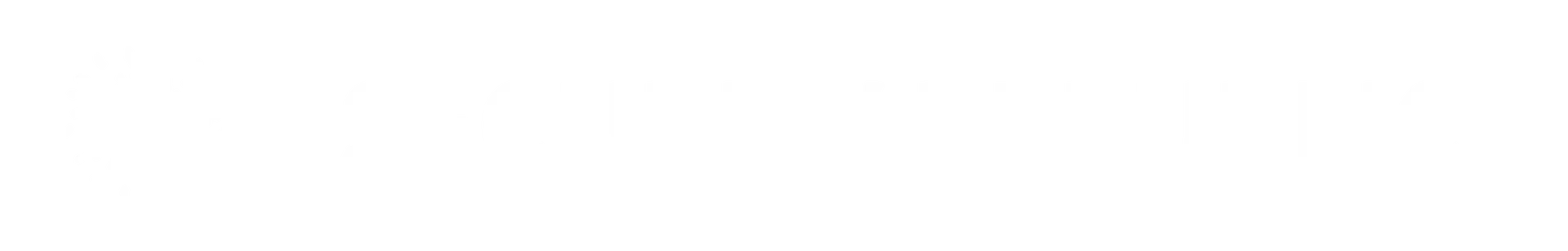 Security Republic USA